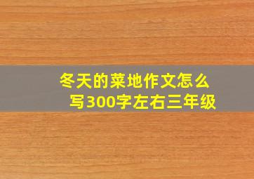 冬天的菜地作文怎么写300字左右三年级