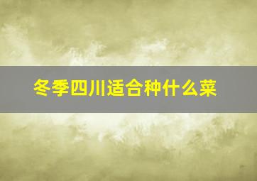 冬季四川适合种什么菜