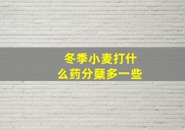 冬季小麦打什么药分蘖多一些