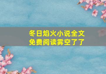 冬日焰火小说全文免费阅读雾空了了