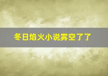 冬日焰火小说雾空了了