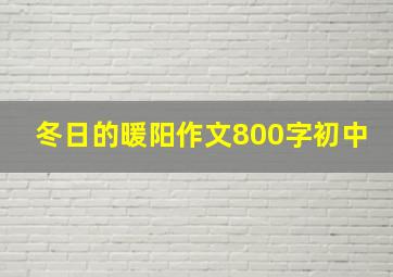 冬日的暖阳作文800字初中