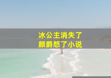 冰公主消失了颜爵怒了小说