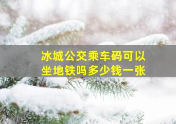 冰城公交乘车码可以坐地铁吗多少钱一张