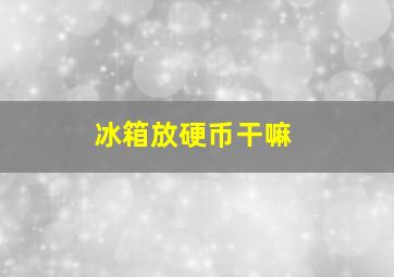 冰箱放硬币干嘛