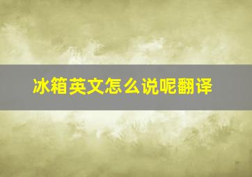 冰箱英文怎么说呢翻译