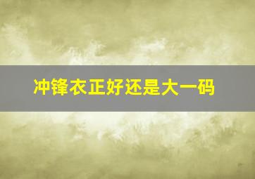 冲锋衣正好还是大一码