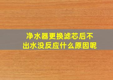 净水器更换滤芯后不出水没反应什么原因呢