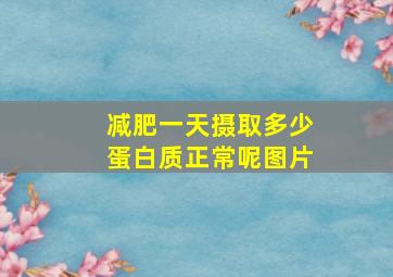 减肥一天摄取多少蛋白质正常呢图片