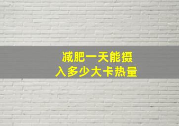 减肥一天能摄入多少大卡热量