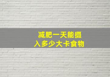 减肥一天能摄入多少大卡食物