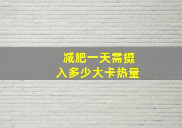 减肥一天需摄入多少大卡热量