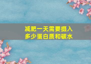 减肥一天需要摄入多少蛋白质和碳水