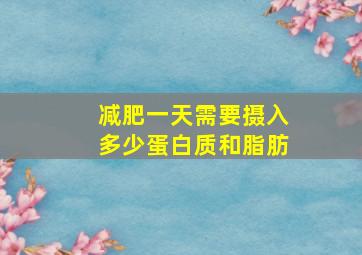 减肥一天需要摄入多少蛋白质和脂肪