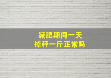 减肥期间一天掉秤一斤正常吗