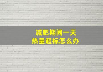 减肥期间一天热量超标怎么办