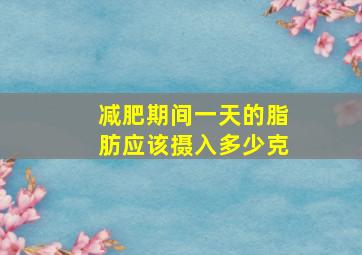 减肥期间一天的脂肪应该摄入多少克