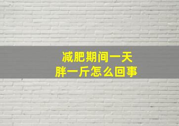 减肥期间一天胖一斤怎么回事