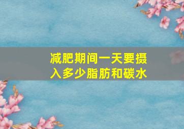 减肥期间一天要摄入多少脂肪和碳水