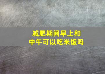 减肥期间早上和中午可以吃米饭吗