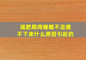 减肥期间睡眠不足瘦不下来什么原因引起的