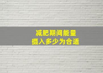 减肥期间能量摄入多少为合适