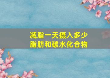 减脂一天摄入多少脂肪和碳水化合物