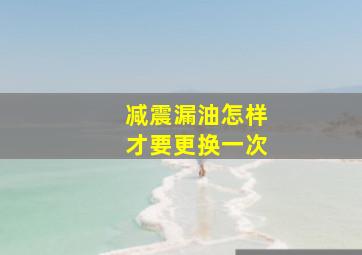 减震漏油怎样才要更换一次