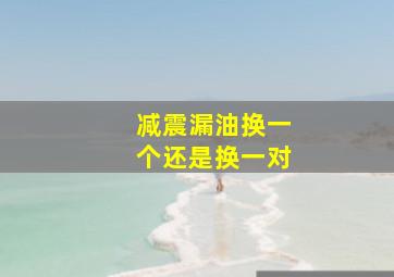 减震漏油换一个还是换一对