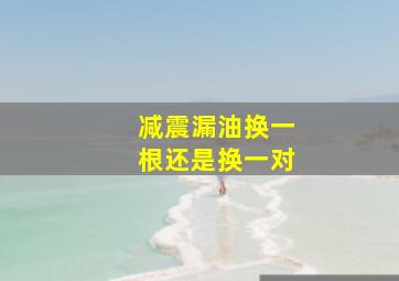 减震漏油换一根还是换一对