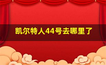 凯尔特人44号去哪里了