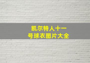 凯尔特人十一号球衣图片大全