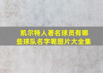 凯尔特人著名球员有哪些球队名字呢图片大全集