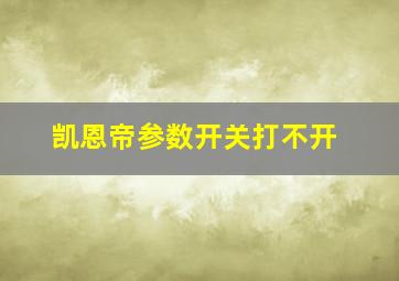 凯恩帝参数开关打不开