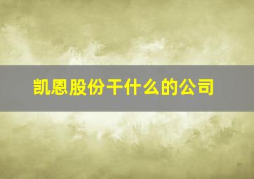 凯恩股份干什么的公司