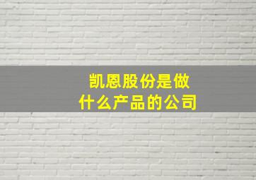 凯恩股份是做什么产品的公司