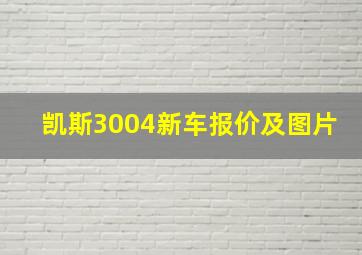 凯斯3004新车报价及图片