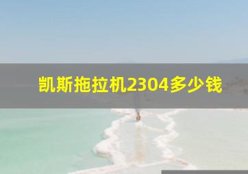 凯斯拖拉机2304多少钱