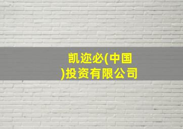 凯迩必(中国)投资有限公司