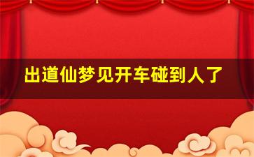 出道仙梦见开车碰到人了