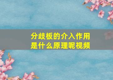 分歧板的介入作用是什么原理呢视频