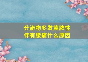 分泌物多发黄脓性伴有腰痛什么原因