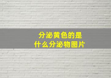 分泌黄色的是什么分泌物图片