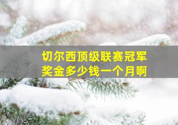 切尔西顶级联赛冠军奖金多少钱一个月啊