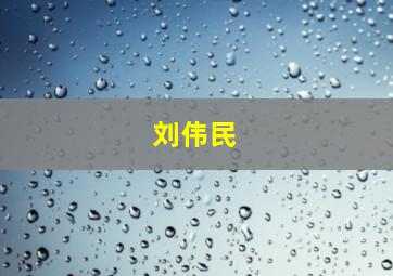 刘伟民