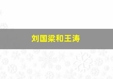 刘国梁和王涛