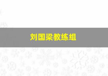 刘国梁教练组