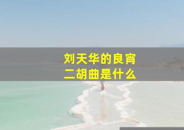 刘天华的良宵二胡曲是什么