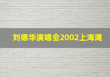 刘德华演唱会2002上海滩