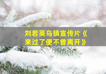 刘若英乌镇宣传片《来过了便不曾离开》